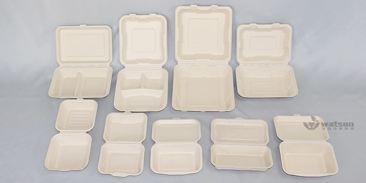 Paper Pulp Sugarcane Bagasse Biodegradable Disposable Fast Food Packaging