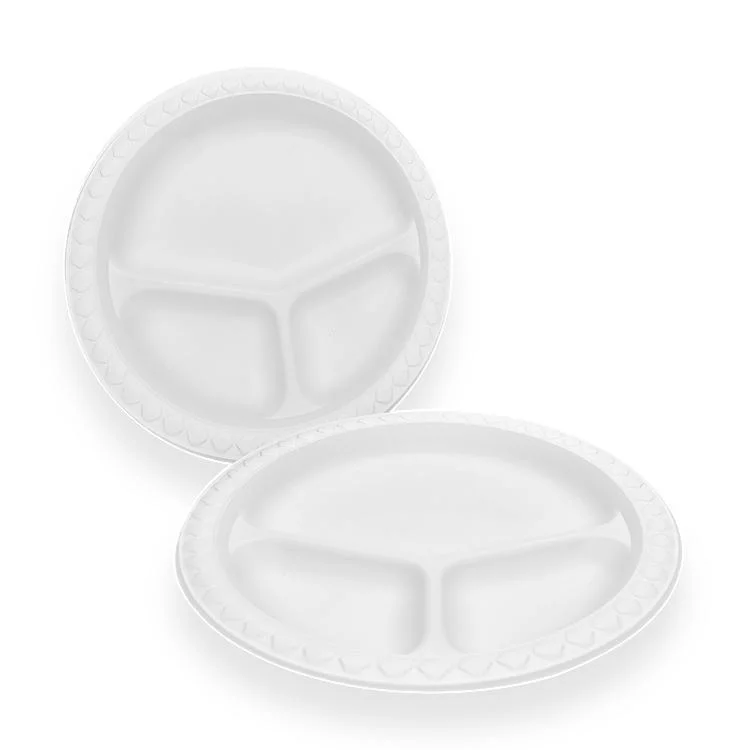 Factory Disposable Plates New Arrival Compostable Water-Fast 10 Inch Food Packaging